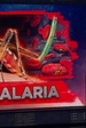 Hard Quiz S07E08 XviD-AFG EZTV