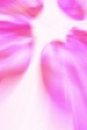 Daniel Spellbound S01 1080p WEBRip x265 EZTV