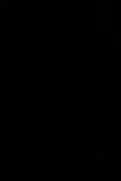 Goliath S03E02 480p x264-mSD [eztv]