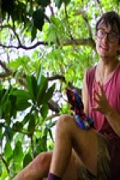 Survivor S44E06 480p x264-mSD EZTV