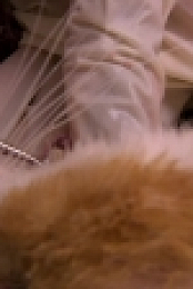 The Pets Factor S04E14 INTERNAL 720p WEB h264-WEBTUBE [eztv]