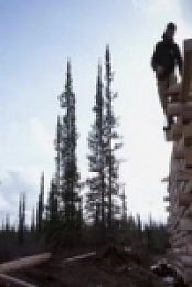 Life Below Zero S13E08 480p x264-mSD [eztv]