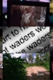 48 Hours S31E13 PROPER 1080p WEB x264-TBS