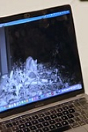 Richard Hammonds Workshop S02E03 480p x264-mSD EZTV