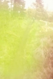 Nature Gone Wild S01E09 720p WEB h264-BAE EZTV