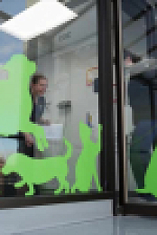Pets and Pickers S02E08 XviD-AFG EZTV