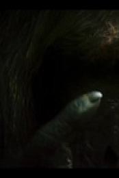 Chimp Empire S01E03 480p x264-mSD EZTV
