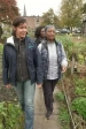 This Old House S42E18 WEB h264-BAE EZTV