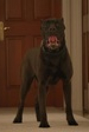 Animal Control S01E08 720p WEB H264-CAKES EZTV