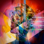 Pink - Hurts 2B Human (2019) [320 KBPS]