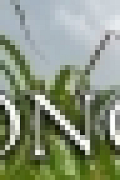 The Long Song S01E01 WEBRip x264-TBS[TGx]