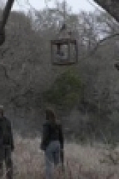 Fear the Walking Dead S05E04 720p WEB h264-TBS [eztv]