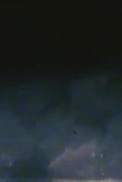 Nature Gone Wild S01E12 XviD-AFG EZTV