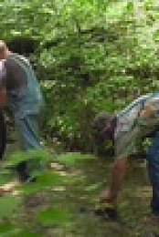 Moonshiners S11E06 720p WEB h264-BAE EZTV