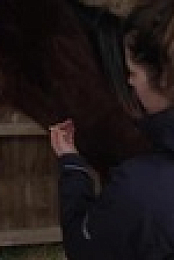 SPCA Rescue 2023 S01E01 XviD-AFG EZTV