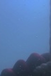 Sydney Harbour Force S01E02 1080p WEB H264-CBFM EZTV