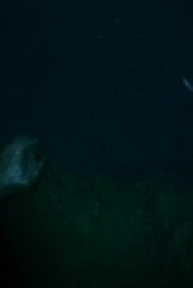 Siren 2018 S03E03 480p x264-mSD [eztv]