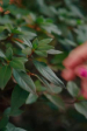 Artfully Designed S02E14 XviD-AFG EZTV