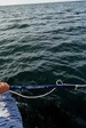 Wicked Tuna S12E01 XviD-AFG EZTV