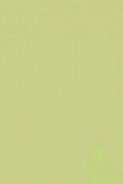 Tuca and Bertie S01E04 480p x264-mSD [eztv]
