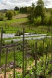 Gourmet Farmer S04E02 480p x264-mSD [eztv]