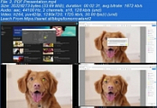[ FreeCourseWeb ] Udemy - Learn Photoshop Automate