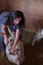 Farming For Love S01E04 XviD-AFG EZTV