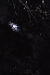 Mysteries Decoded S02E03 XviD-AFG EZTV