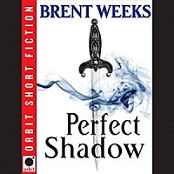 Night Angel, Book 3.5: Perfect Shadow - Audiobook