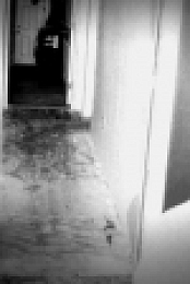Dateline Secrets Uncovered S10E04 XviD-AFG EZTV
