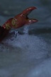 Our Planet 2019 S02E03 720p WEB h264-EDITH EZTV
