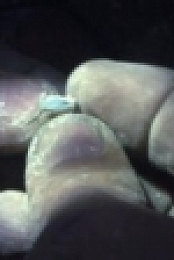Outback Opal Hunters S03E09 720p WEB x264-APRiCiTY [eztv]