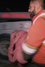 Highway Thru Hell S10E06 XviD-AFG EZTV