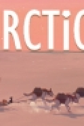 Arctico Alpha v9h