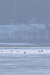 Winterwatch S12E01 XviD-AFG EZTV