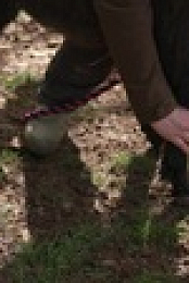Springtime on the Farm S06E02 XviD-AFG EZTV
