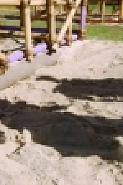 Survivor S39E06 HDTV x264-CROOKS [eztv]