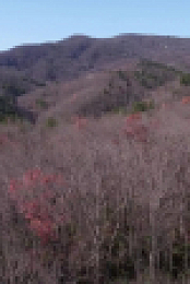 Mountain Men S12E01 1080p WEB h264-EDITH EZTV