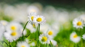 [ FreeCourseWeb ] Udemy - Yoga Philosophy on Self-Love