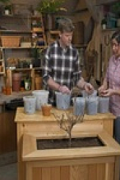 Ask This Old House S19E23 480p x264-mSD EZTV