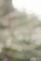 Alone Australia S01E02 XviD-AFG EZTV