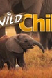 Wild Child S01E02 1080p WEB h264-SKYFiRE EZTV