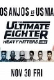 The Ultimate Fighter S28 Finale WEB-DL H264 Fight-BB