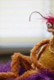 The Muppets S01E12 HDTV x264 KILLERS rarbg
