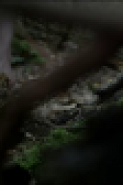 Backcountry 2014 BRRip XviD MP3-XVID