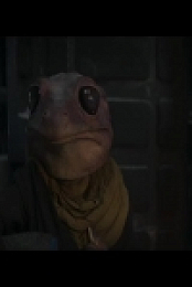 The Mandalorian S02E02 480p x264-mSD EZTV
