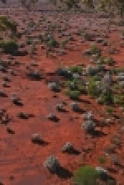 Aussie Gold Hunters S06E09 720p WEB h264-B2B EZTV