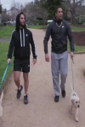 Superwog S01E04 480p x264-mSD [eztv]