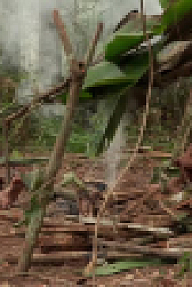 Naked and Afraid S17E08 XviD-AFG EZTV