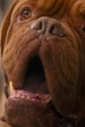 Turner and Hooch S01E02 WEBRip x264-PHOENiX EZTV